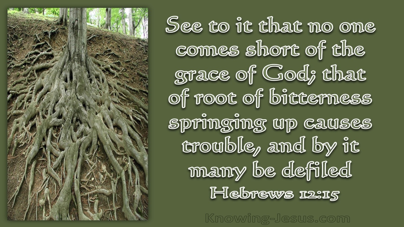 Hebrews 12:15 Let No Root Of Bitterness Spring Up (green)